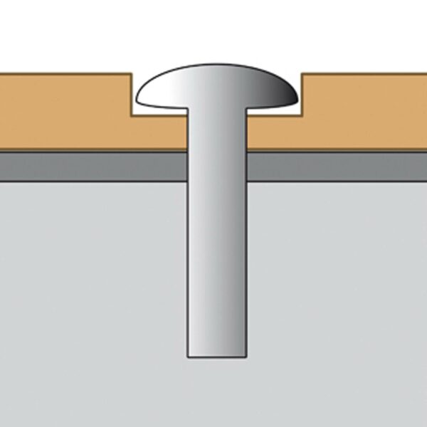 245g1152-PROTEXIA tornillo Torx de seguridad con pivote, no incluido